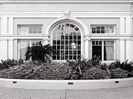 Moana Surfrider