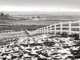 White Fence