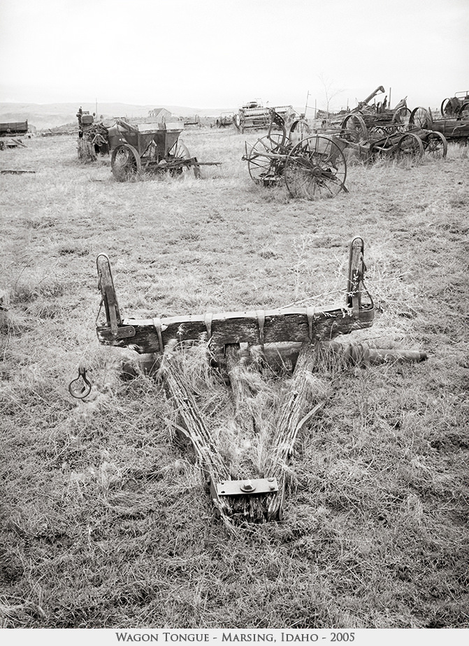 Wagon Tongue