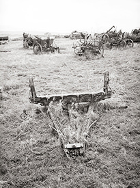 Wagon Tongue