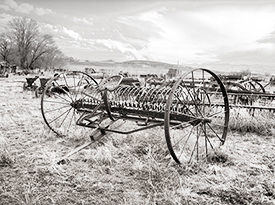 Hay Rake II
