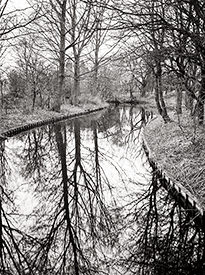 Canal Reflection