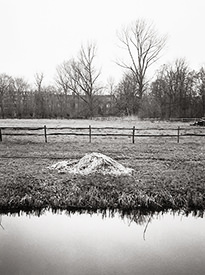 Straw Pile