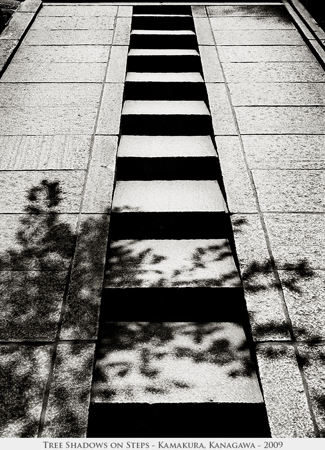 Tree Shadows on Steps