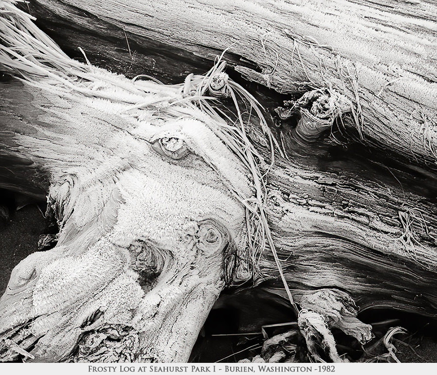frosty log 1