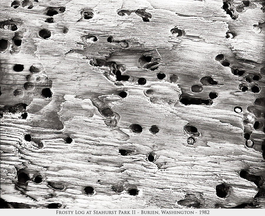 frosty log 2