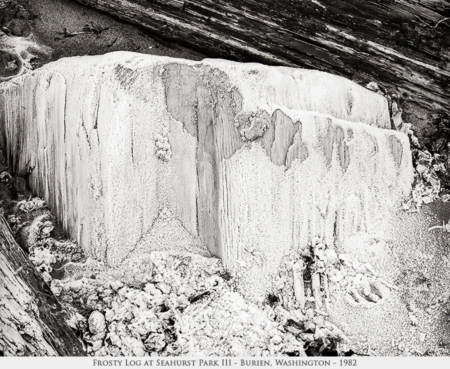frosty log 3