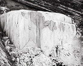 frosty log 3