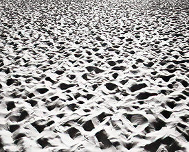 public beach