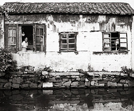 man in the window