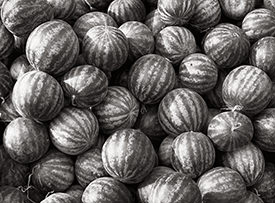 watermelons