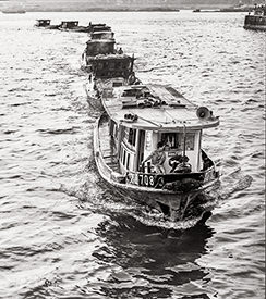 Huangpu boat chain 3