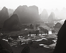 valley rice paddies 2