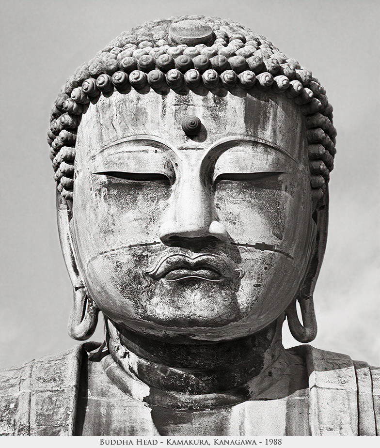 Buddha head