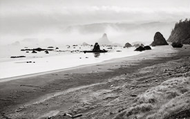 beach fog