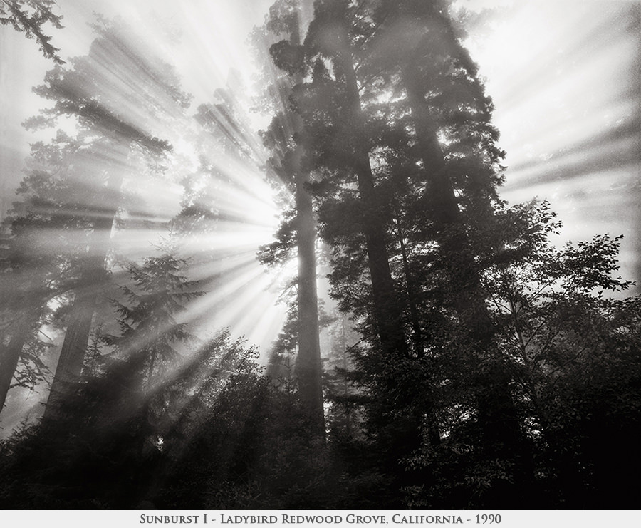 sunburst 1