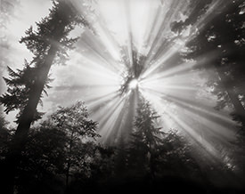 sunburst 2