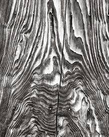 fence detail