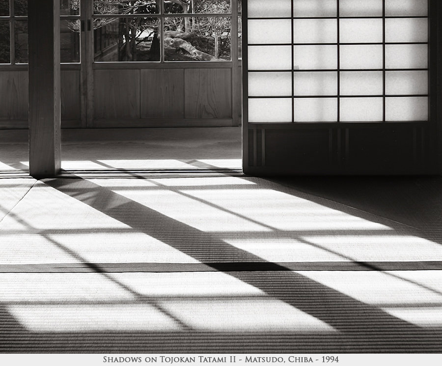 shadows on Tojokan tatami 2