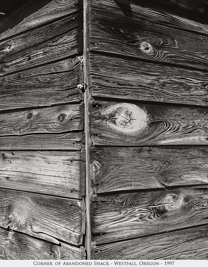 corner of abandoned shack