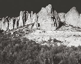 Bully Creek Formation 5