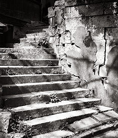 Harajuku steps