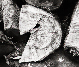 Firewood I