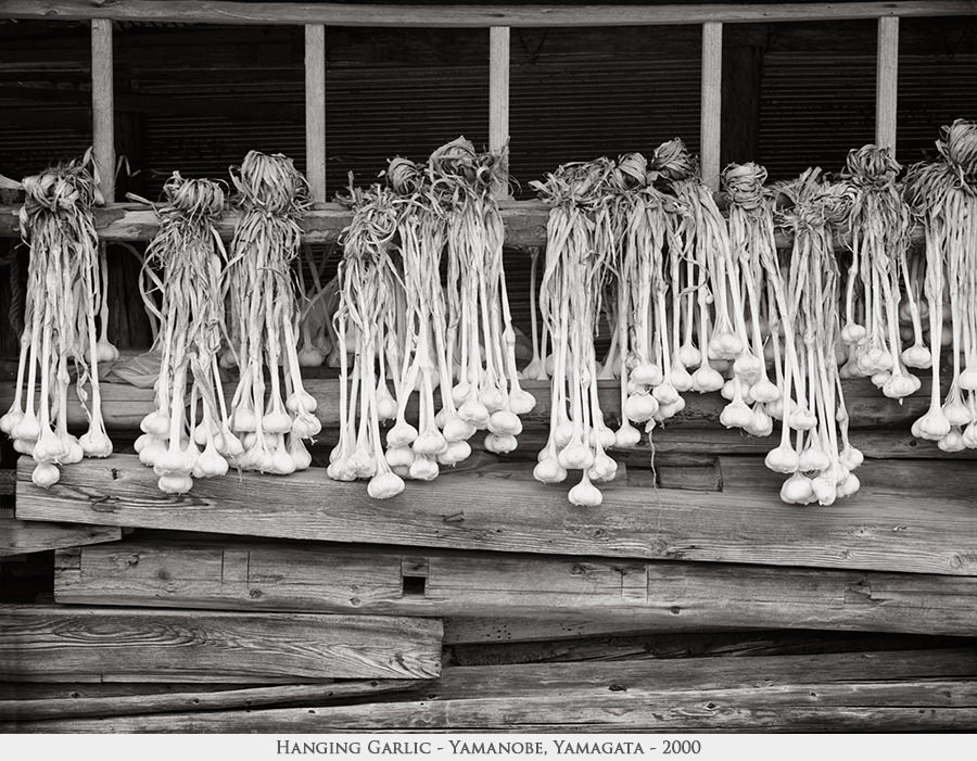 hanging garlic