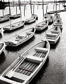 boats