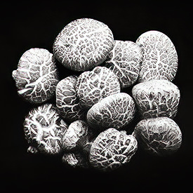 mushrooms