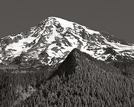 Mt. Rainier