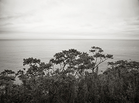 Sea Horizon