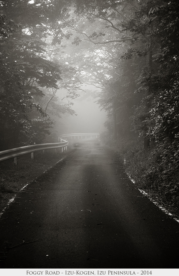 Foggy Road