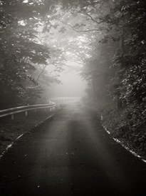 Foggy Road