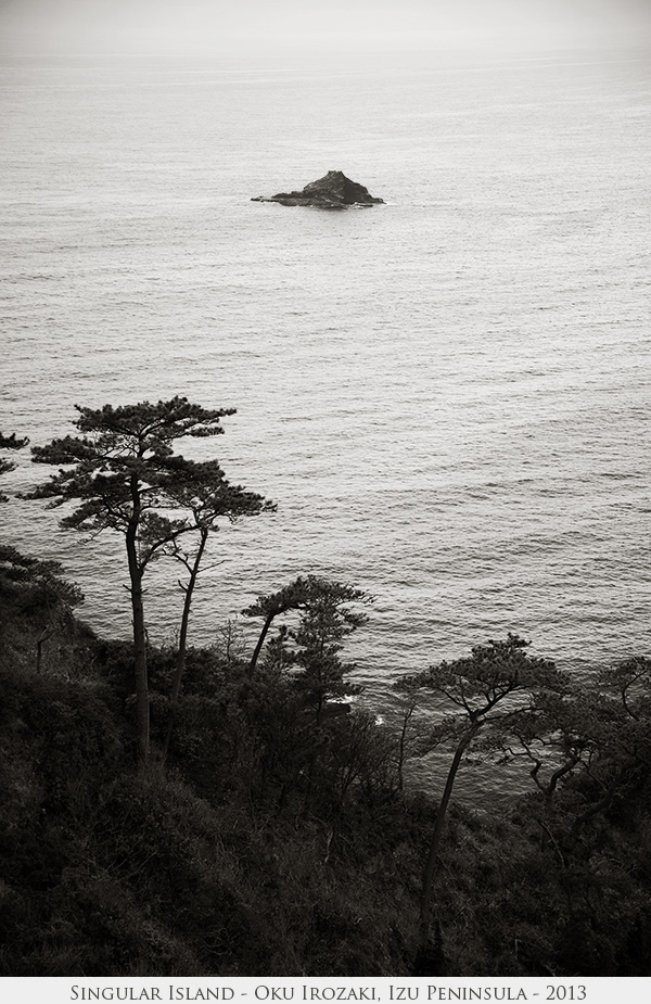 Singular Island