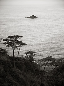 Singular Island