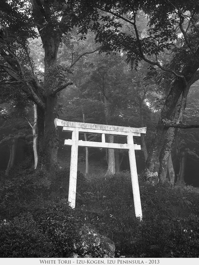 White Torii