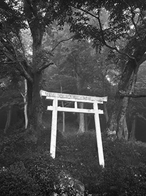 White Torii