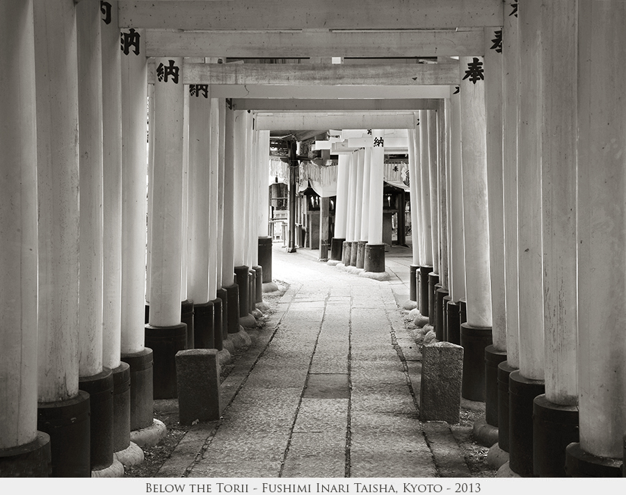 Below the Torii