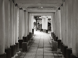 Below the Torii