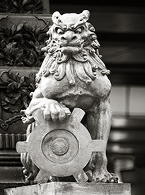 Lion & Tokyo Crest