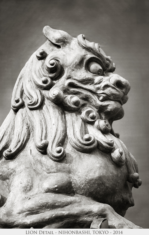 Lion Detail