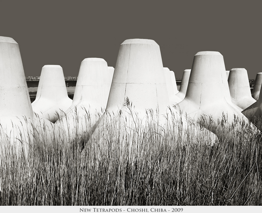 New Tetrapods