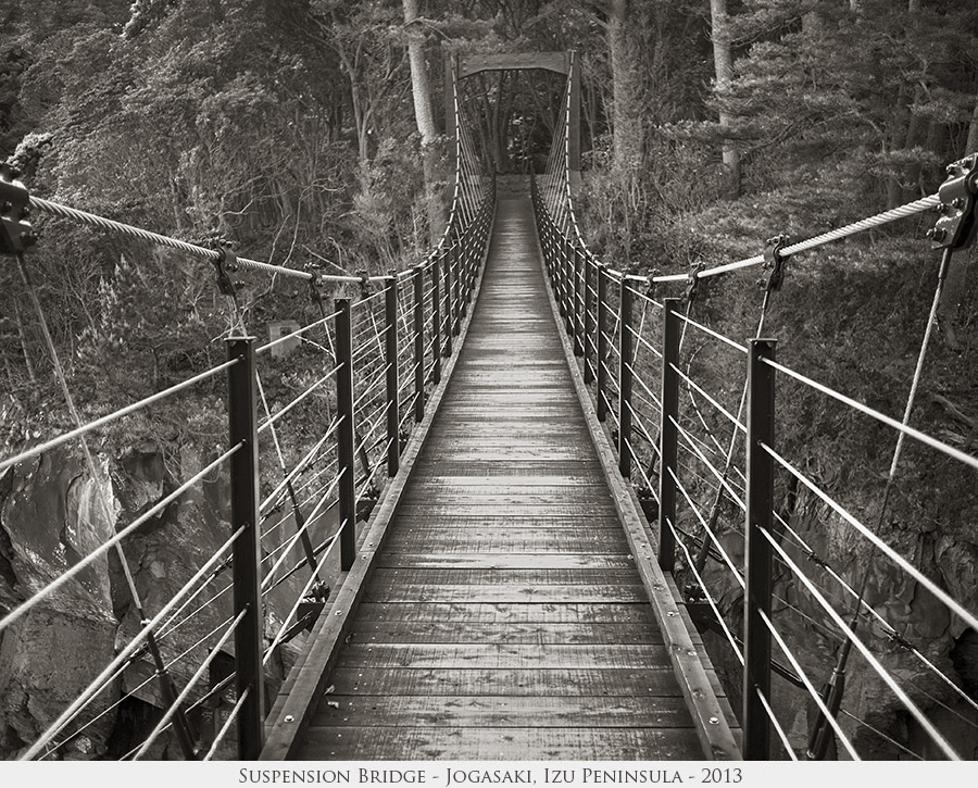 Suspension Bridge