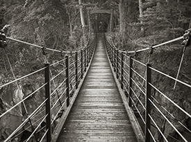 Suspension Bridge