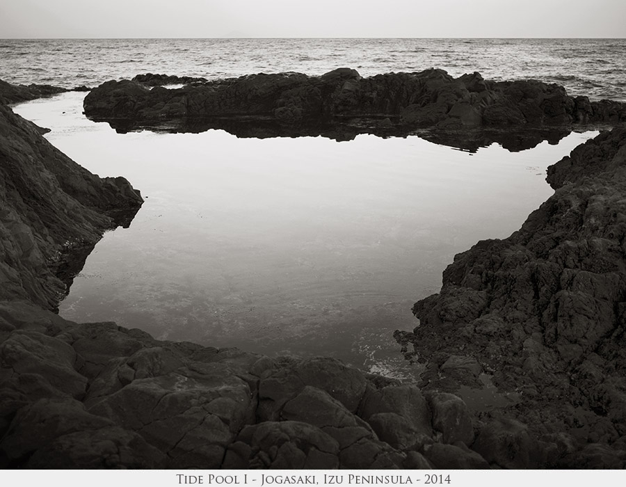 Tide Pool I