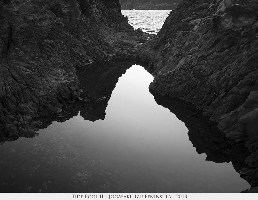 Tide Pool II
