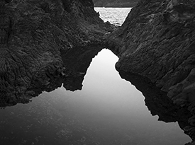 Tide Pool II