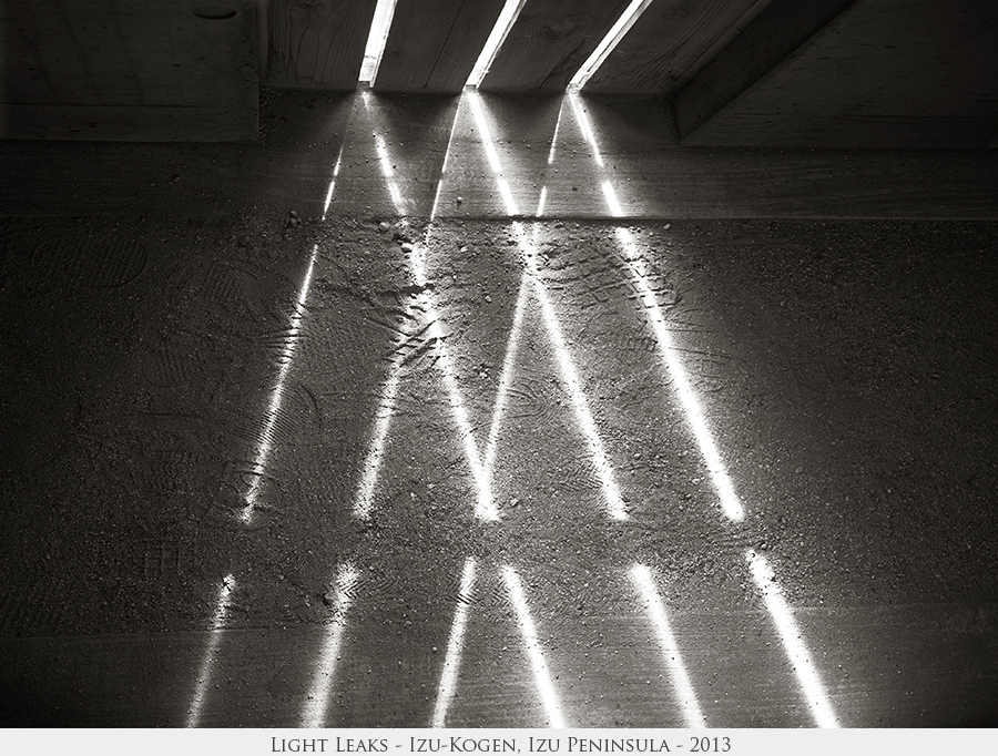 Light Leaks