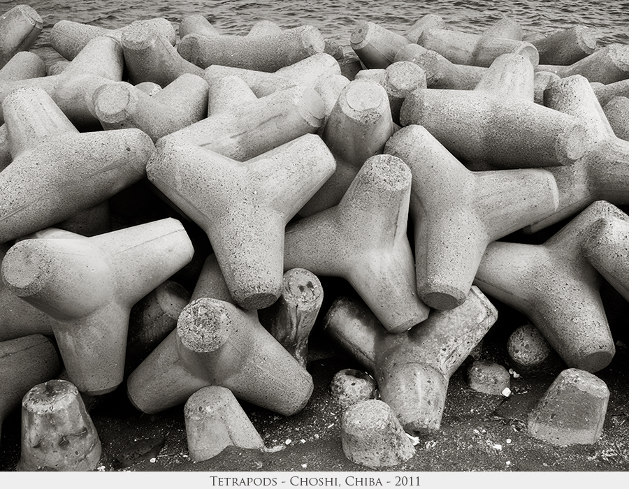 Tetrapods